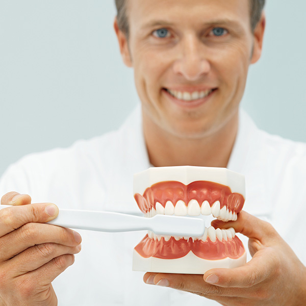 Smiling doctor holding toothbrushes in office